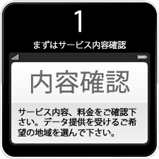 内容確認画像